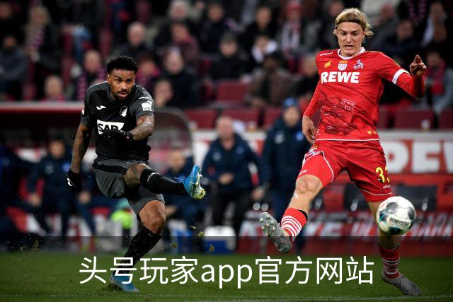 头号玩家app官方网站公司简介图